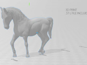 spanish horse 3D Model