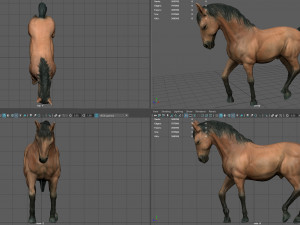 spanish horse 3D Model