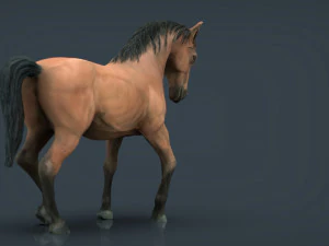 spanish horse 3D Model