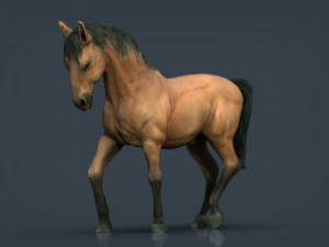 spanish horse 3D Model