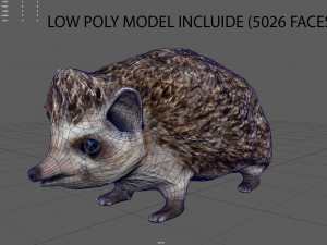 hedgehog 3D Model