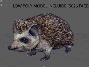 hedgehog 3D Model