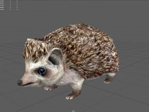hedgehog 3D Model