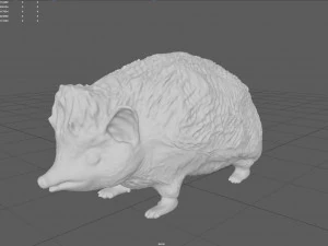 hedgehog 3D Model