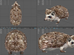 hedgehog 3D Model