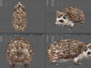 hedgehog 3D Model