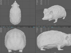 hedgehog 3D Model