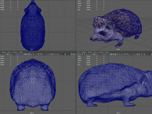 hedgehog 3D Model