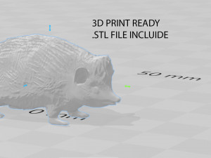 hedgehog 3D Model