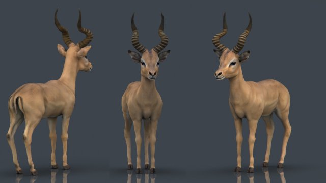 impala Modelo 3D .c4d .max .obj .3ds .fbx .stl .blend 