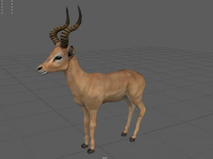 impala 3D Model