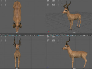 impala Modelo 3D