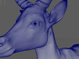 impala 3D Model