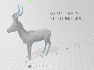 impala 3D Model