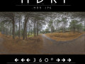 hdr road forest 2 CG Textures
