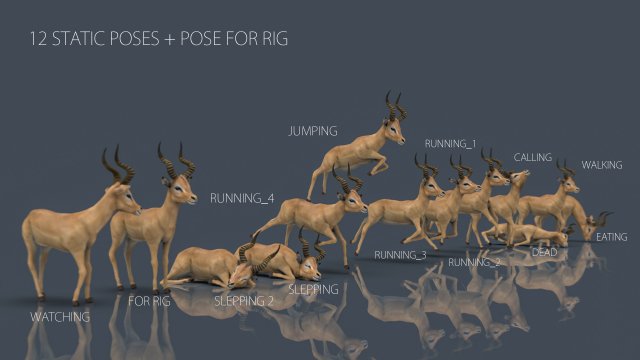 impala poses Modelo 3D .c4d .max .obj .3ds .fbx .stl .blend 