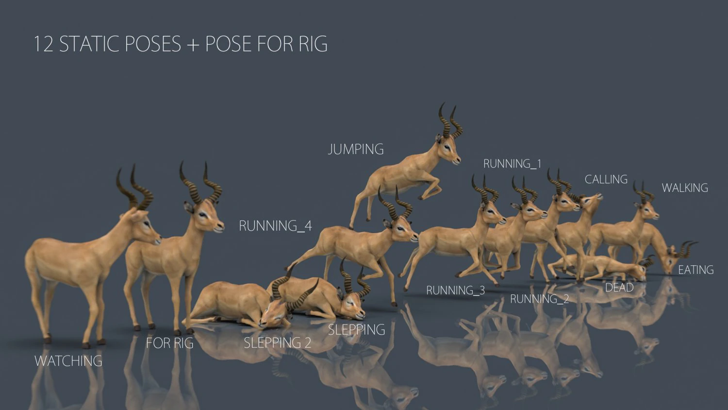 impala poses 3D Model .c4d .max .obj .3ds .fbx .stl .blend 