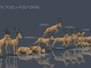 poses de impala Modelo 3D