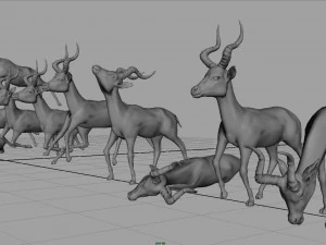impala poses 3D Model
