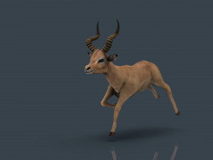 impala poses Modelo 3D