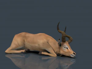 impala poses 3D Model