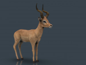 impala poses Modelo 3D