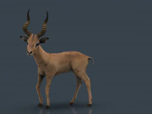 impala poses 3D Model