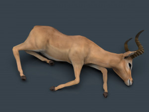 impala poses Modelo 3D