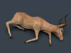 impala poses 3D Model