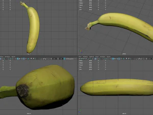 platano 3D Model