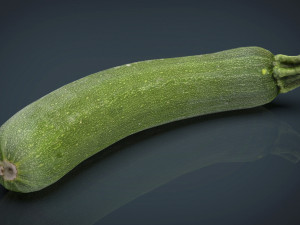 zucchini 3D Model