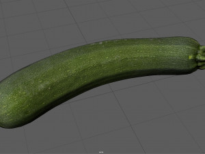 zucchini 3Dモデル