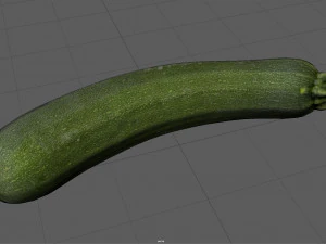 zucchini 3D Model