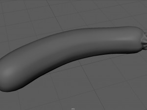 zucchini 3Dモデル
