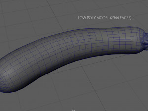 zucchini 3Dモデル