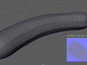 zucchini 3Dモデル