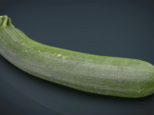 zucchini 3D Model