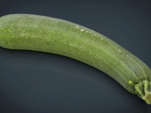 zucchini 3Dモデル