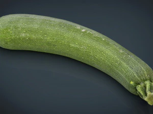 zucchini 3D Model