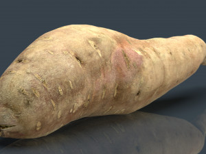 batata 3D Model