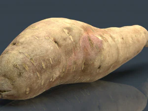 batata 3D Model