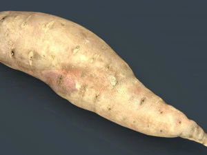 batata 3D Model