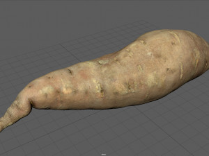 batata 3D Model