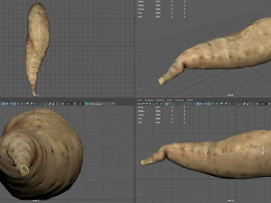 batata 3D Model