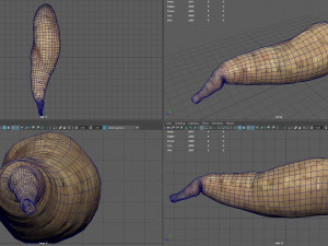 batata 3D Model