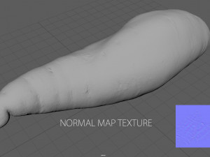 batata 3D Model