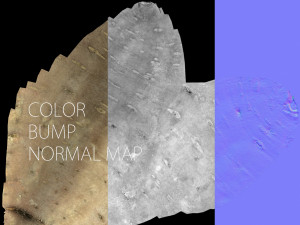 batata 3D Model