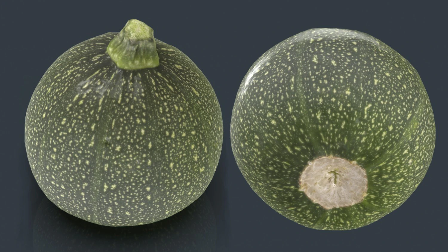 zucchini moon 3D Model .c4d .max .obj .3ds .fbx .stl .blend 