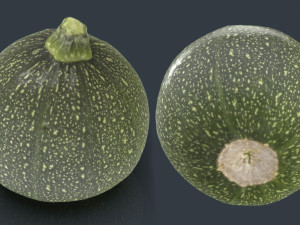 zucchini moon 3D Model