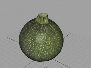 zucchini moon 3D Модель